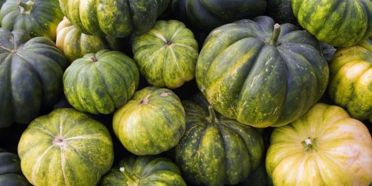 Nutrition in Calabaza Squash