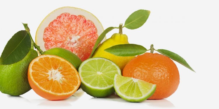Healthy breakfast Tips to lose weight