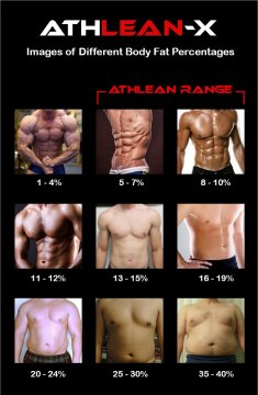 body fat portion pictures of males