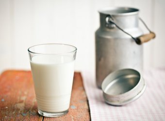 grass provided milk - 10 most useful drinks for losing weight