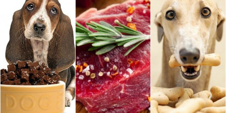 Healthy diet for dogs