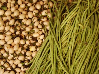 Legumes are full of carbs.