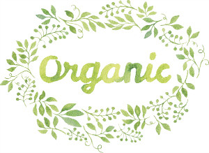 Organic meals are great for fertility