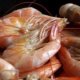 Calorie count for Shrimp