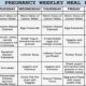 Healthy diet Chart during pregnancy