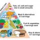 Healthy eating Pyramid worksheets