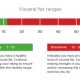 Healthy range of body fat percentage