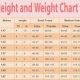 Healthy weight for female chart