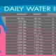 Right amount of calories per day