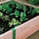 Teaching children About healthy eating