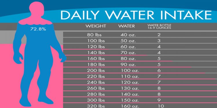 Right amount of calories per day