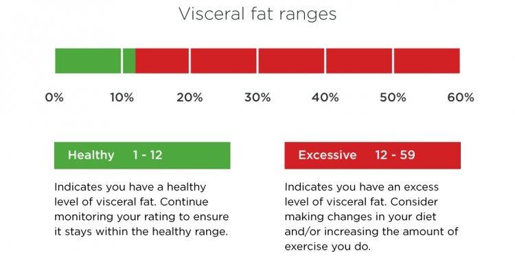 Fat percentage healthy