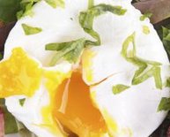 Are Eggs healthy for weight loss
