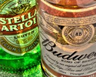 Calories count of Beer