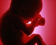 Diet during pregnancy for healthy baby