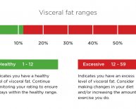 Fat percentage healthy