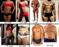 Healthy body fat percentage for athletes