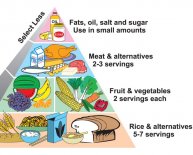 Healthy eating Pyramid worksheets