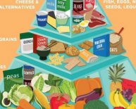 New healthy eating Pyramid