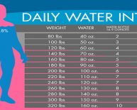 Right amount of calories per day