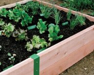 Teaching children About healthy eating